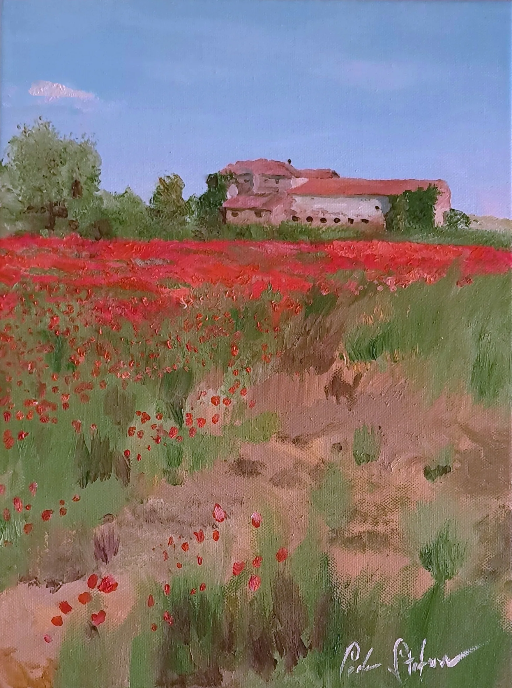Campo di papaveri en plein air a olio su tela